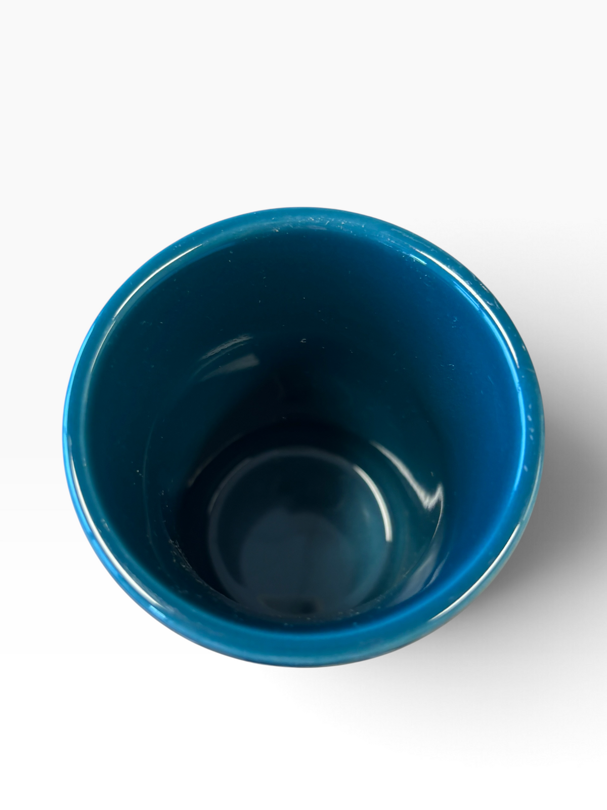 Fiesta Juniper Tumbler Juice Tumbler
