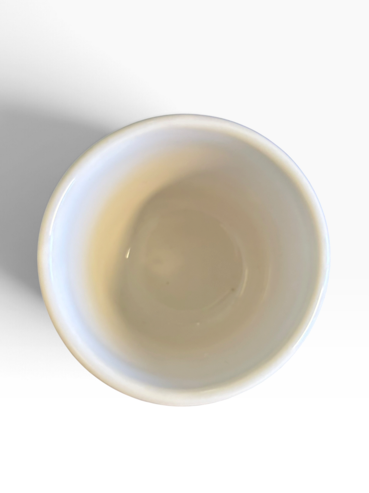 Fiesta FTCCO Citrus Lime on White Shot Glass 2 oz Lime Citrus